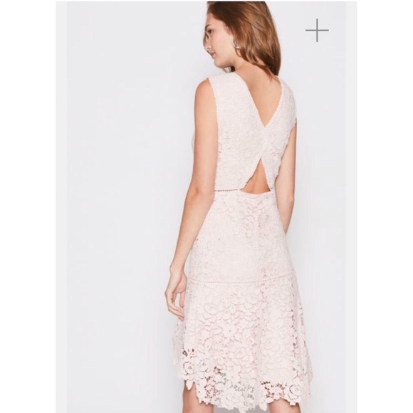 NWT Joie Lace Bridley High-Low Dress in Rosewater Size Small - Picture 5 of 8